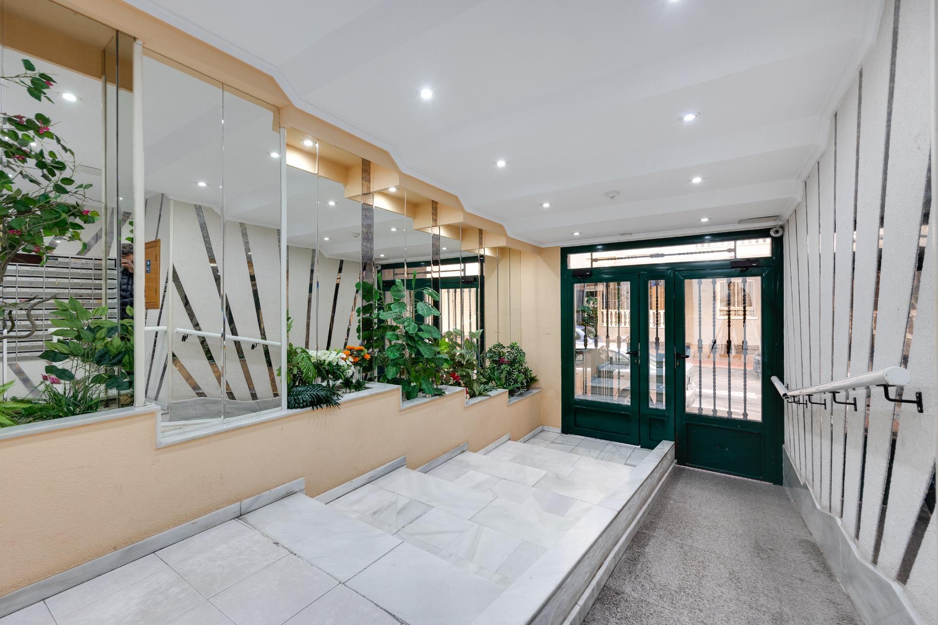 Estudio en Torrevieja