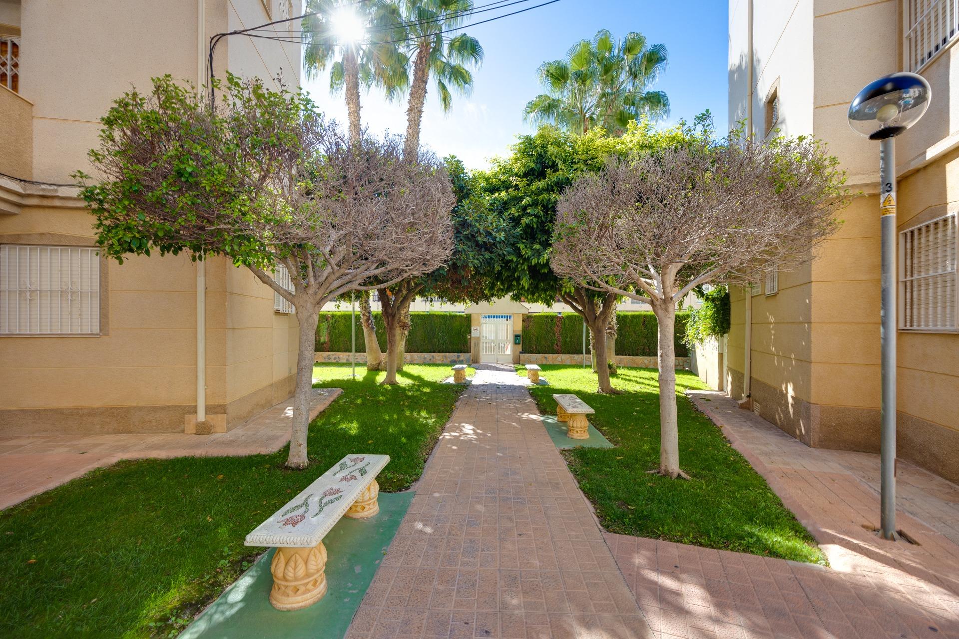 Planta baja en Torrevieja