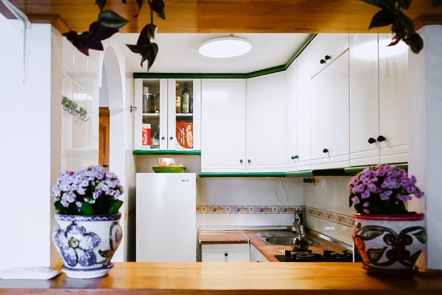 Estudio en Torrevieja