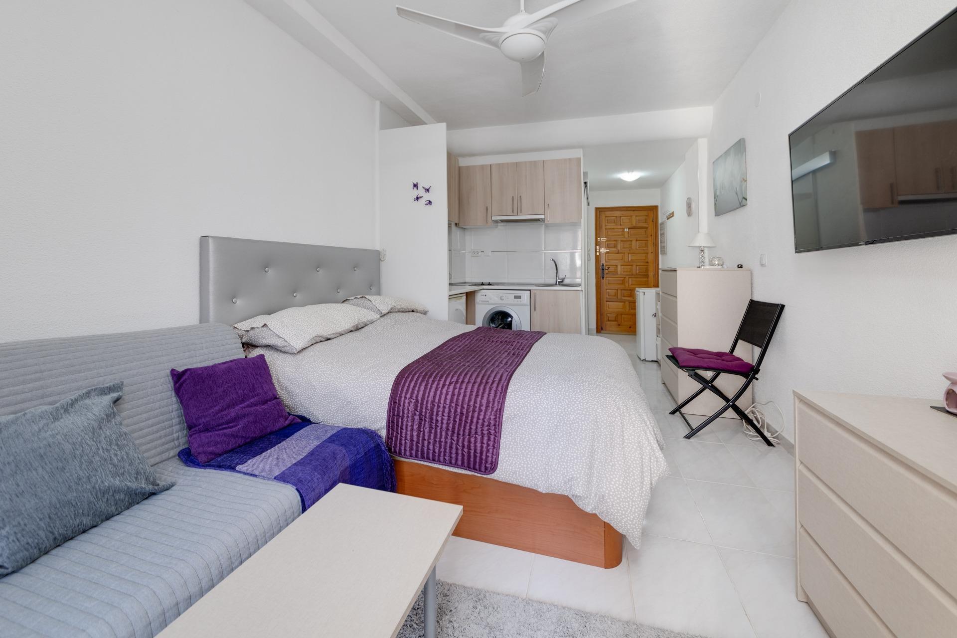 Estudio en Torrevieja