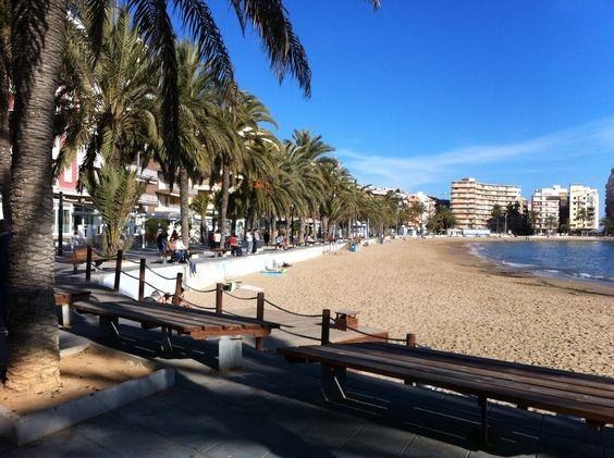 Planta baja en Torrevieja