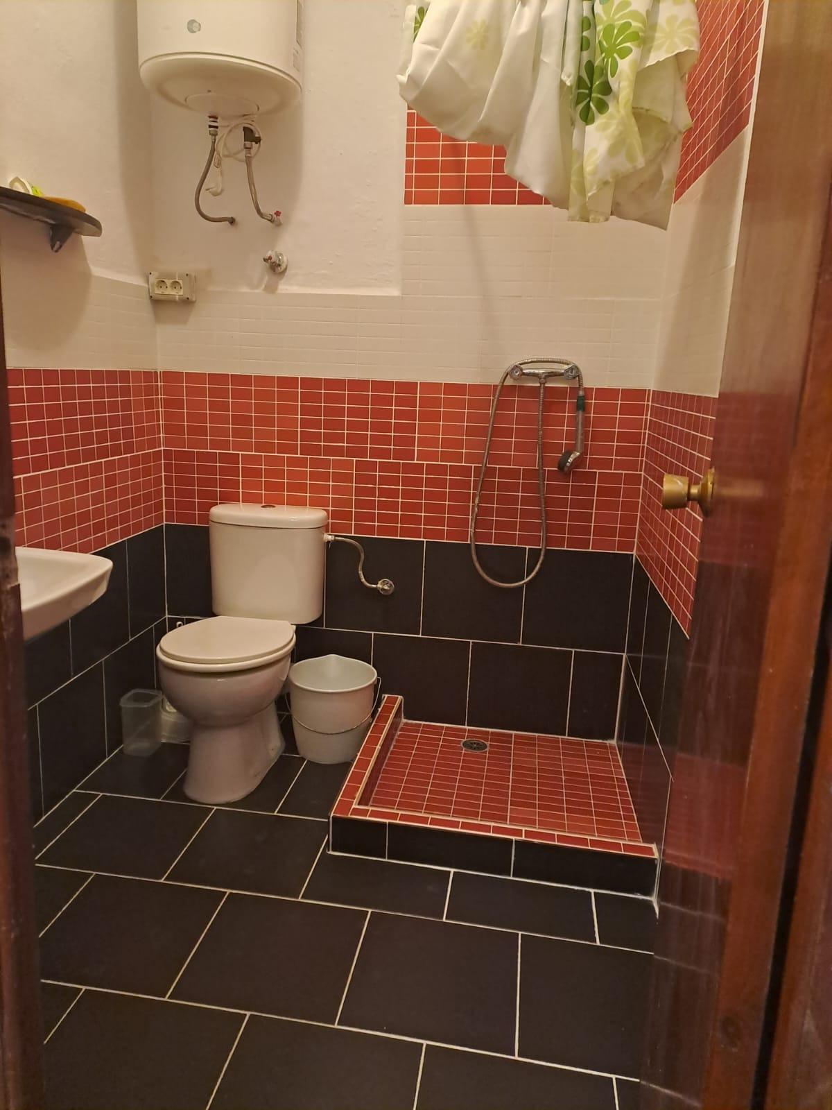 Estudio en Torrevieja