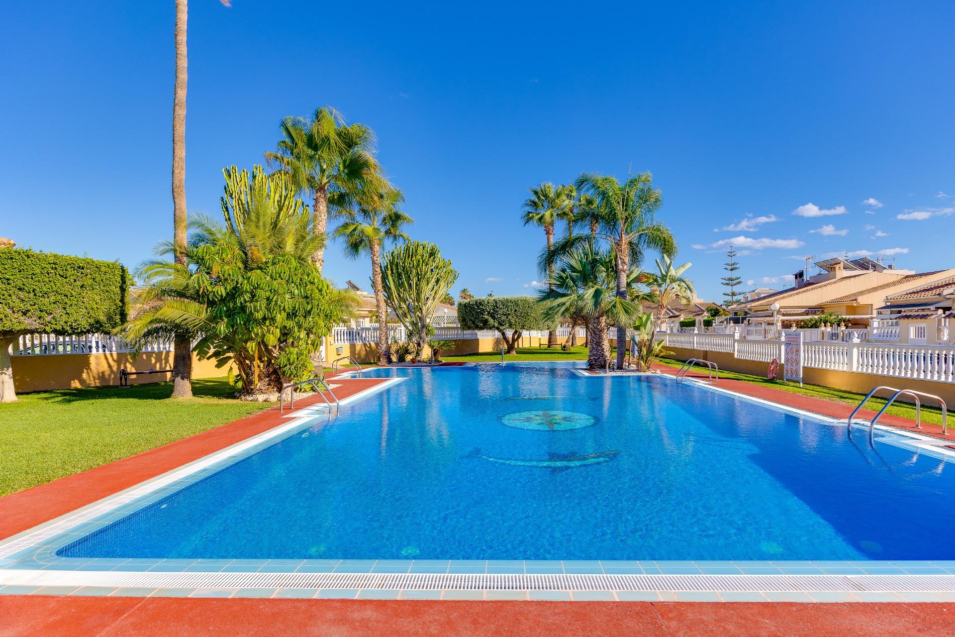 Pareado en Torrevieja