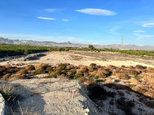 Terreno rural en Benferri