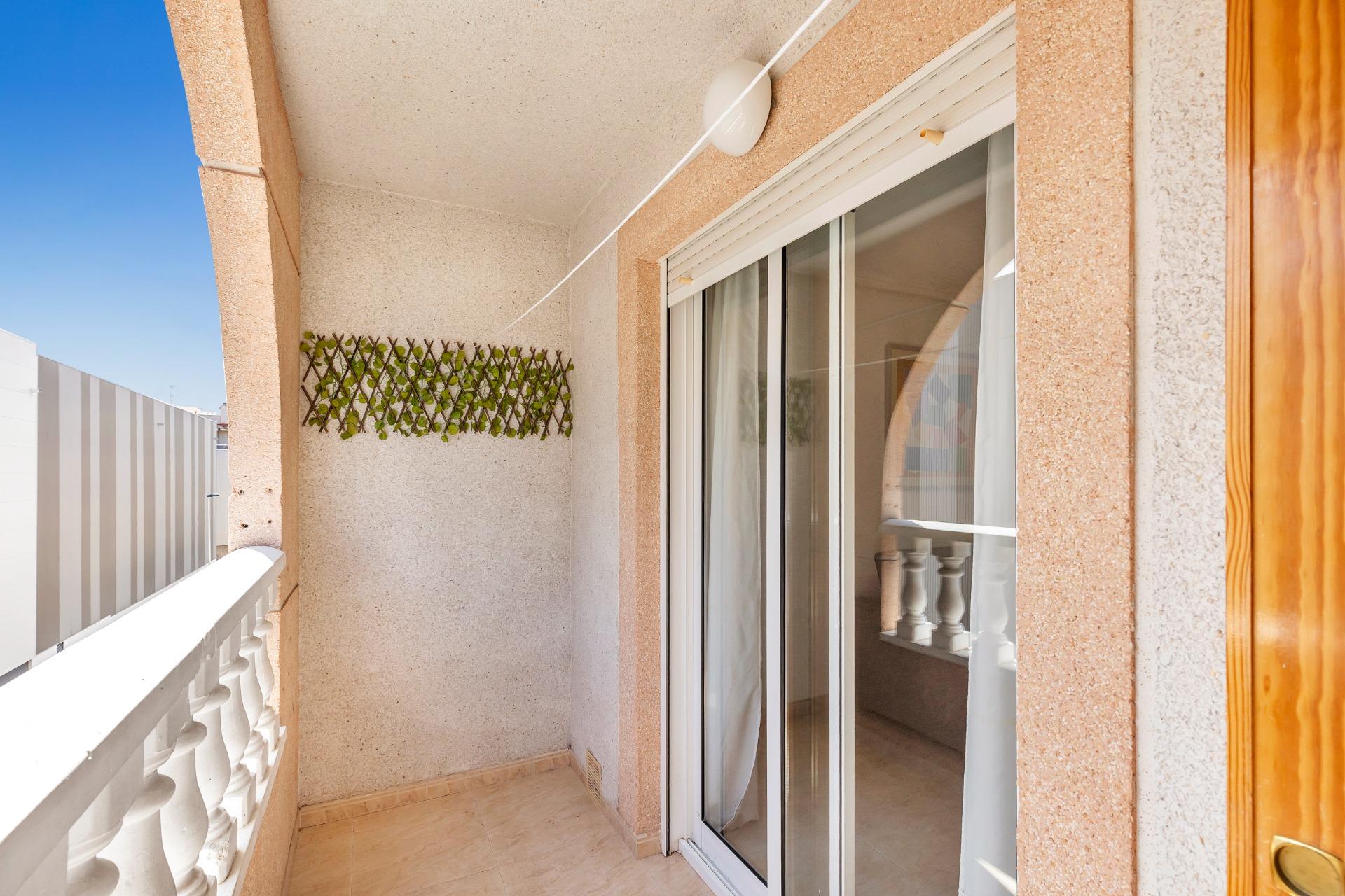 Estudio en Torrevieja