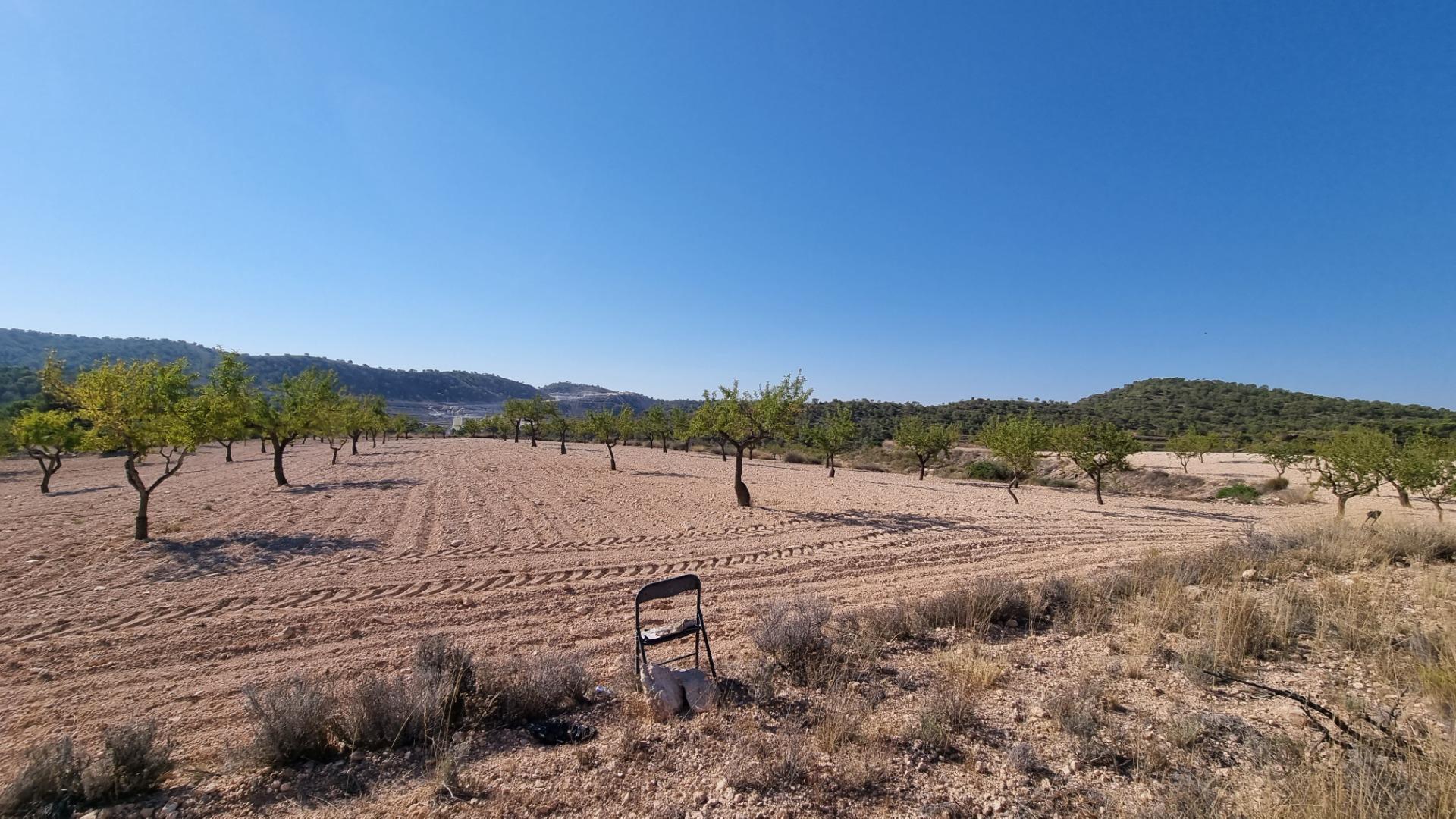 Terreno rural en Abanilla