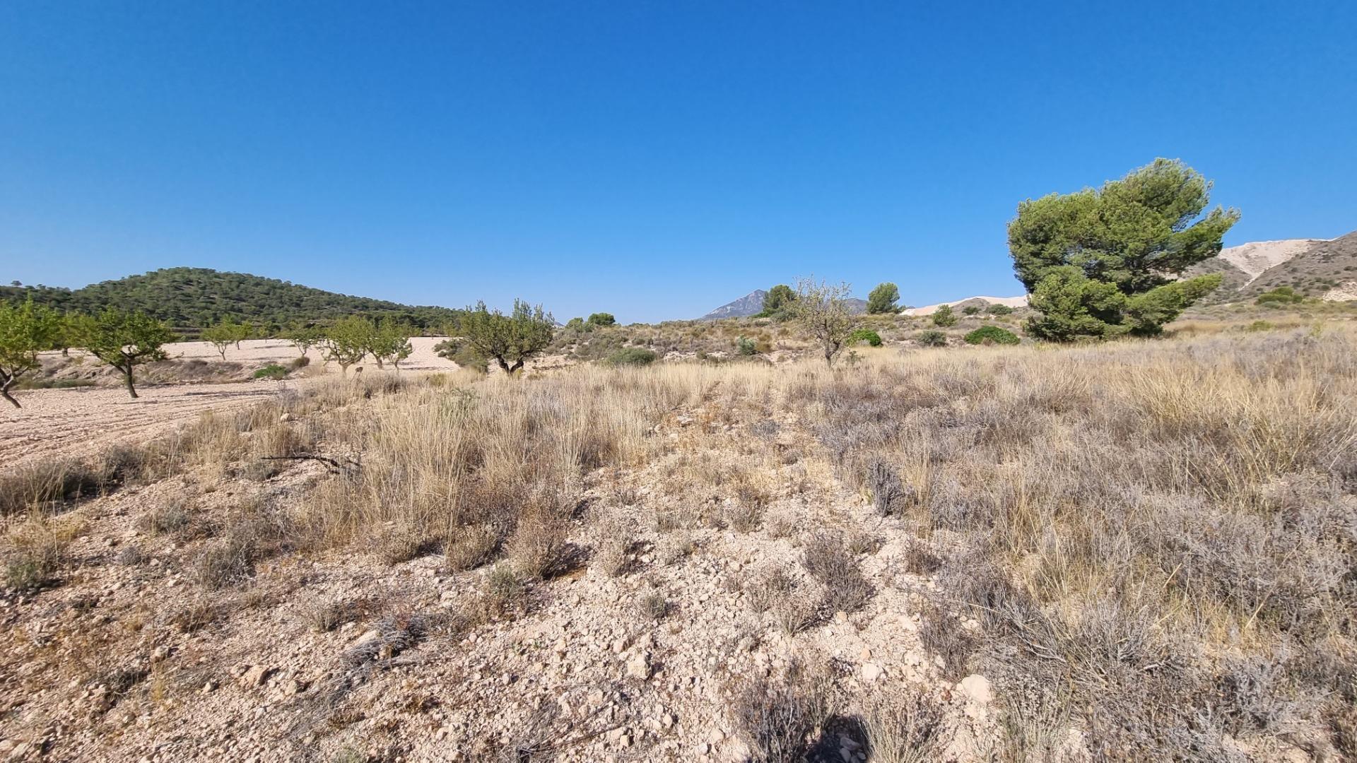 Terreno rural en Abanilla